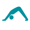 vinyasa